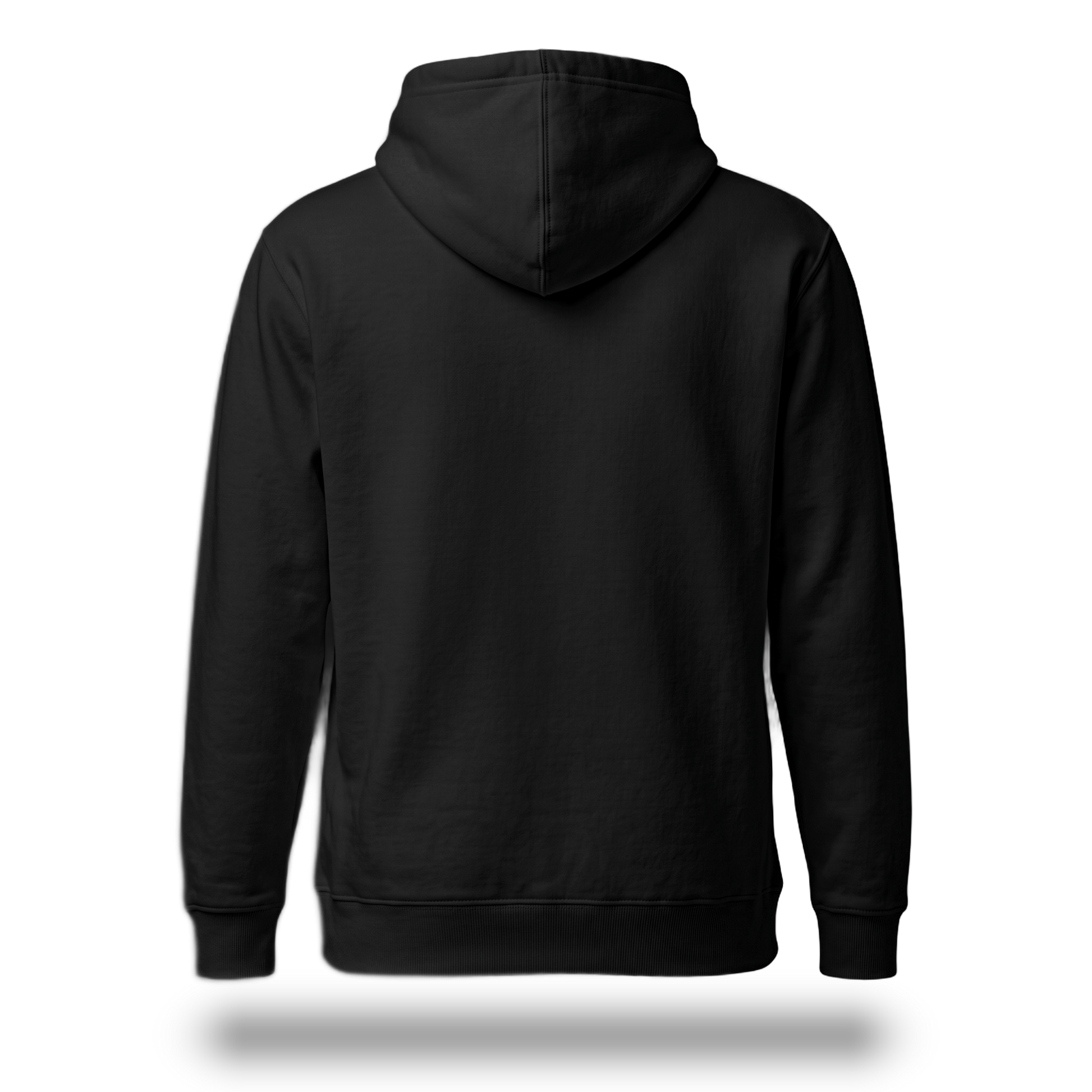 Off Piste Logo Ski Hoodie in Black, back view