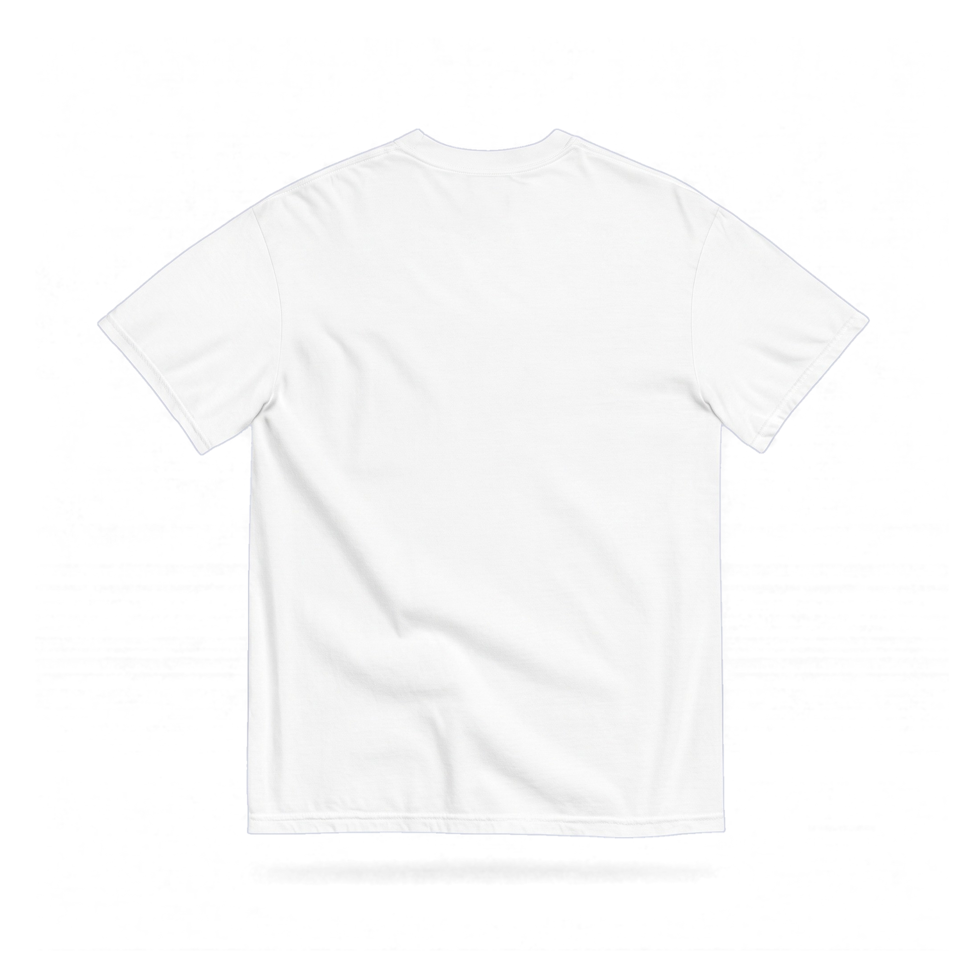 Off Piste Signature Heavyweight Garment-Dyed Graphic Tee in White, back view