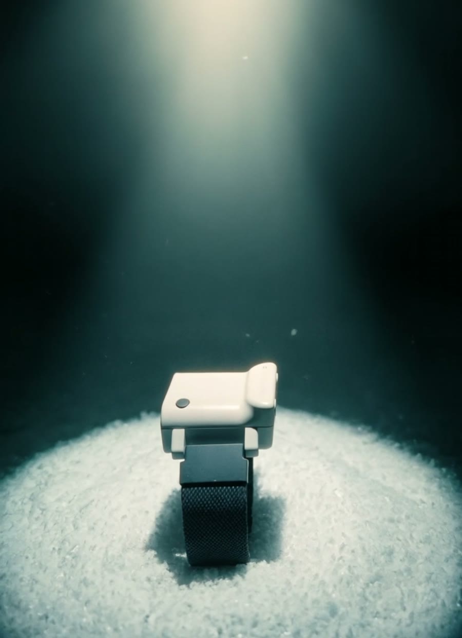Maestro wristband